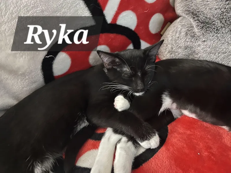 Ryka