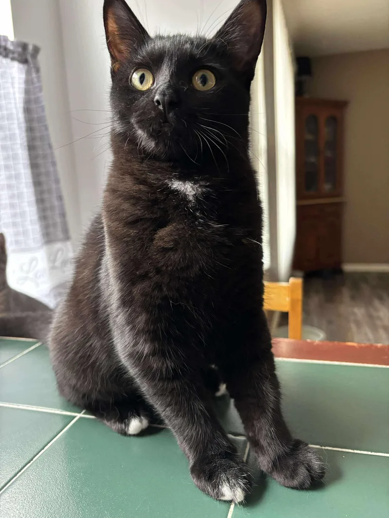 Tuffertina thumbnail 5