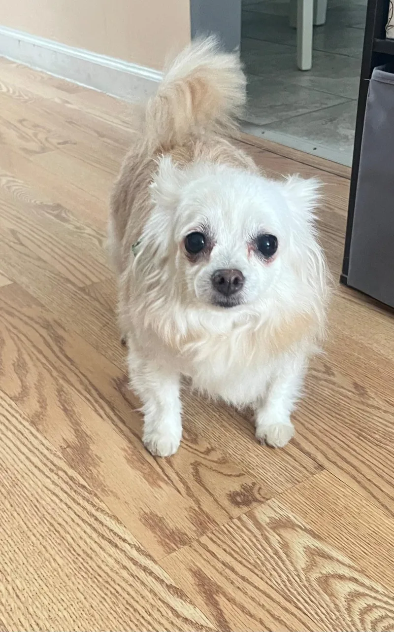 Princess thumbnail 2