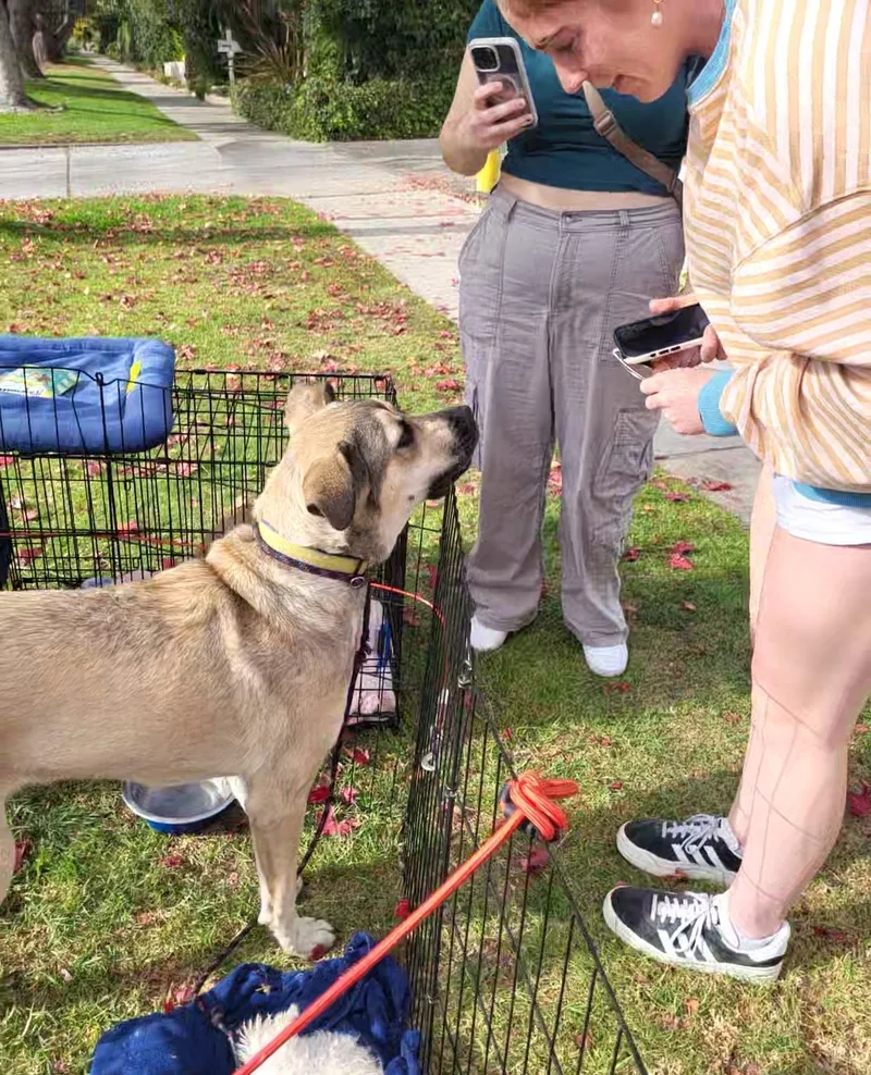 Oh Theo! thumbnail 2