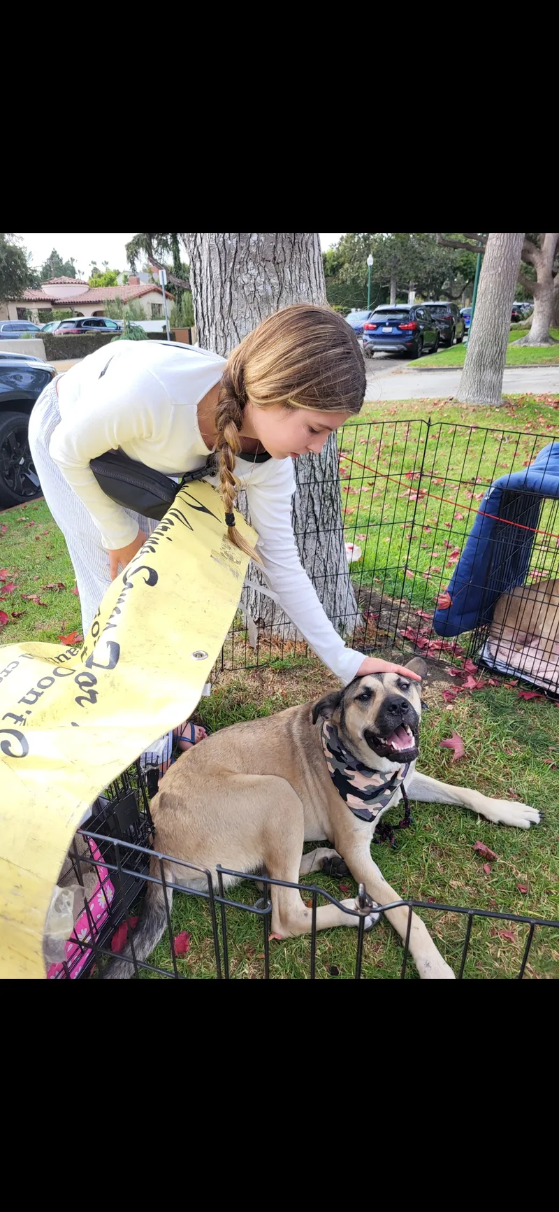 Oh Theo! thumbnail 3