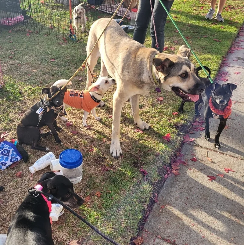 Oh Theo! thumbnail 4