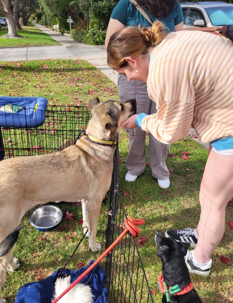 Oh Theo! thumbnail 5