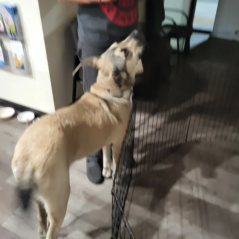 Oh Theo! thumbnail 6