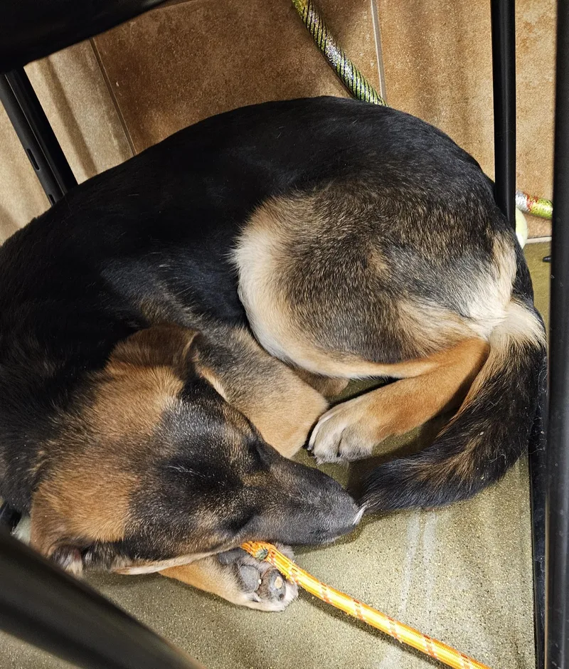 Mavericki thumbnail 2