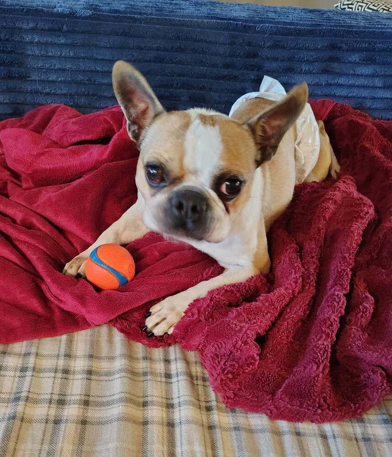 Oliver Beecher Bethpage  thumbnail 2