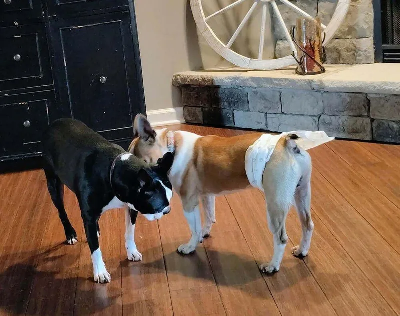 Oliver Beecher Bethpage  thumbnail 3