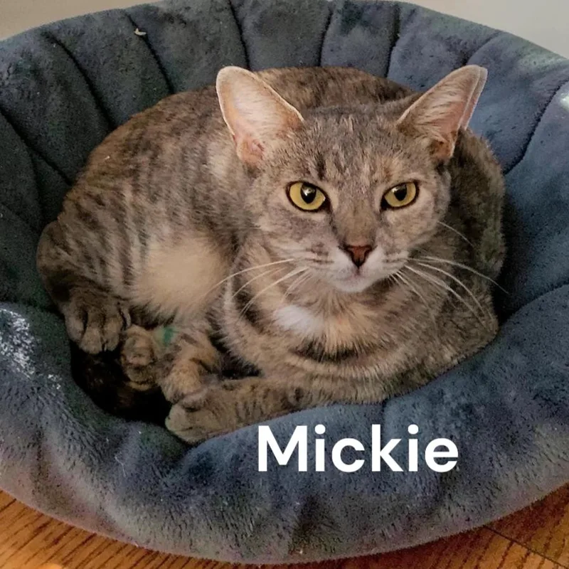 Mickie thumbnail 2