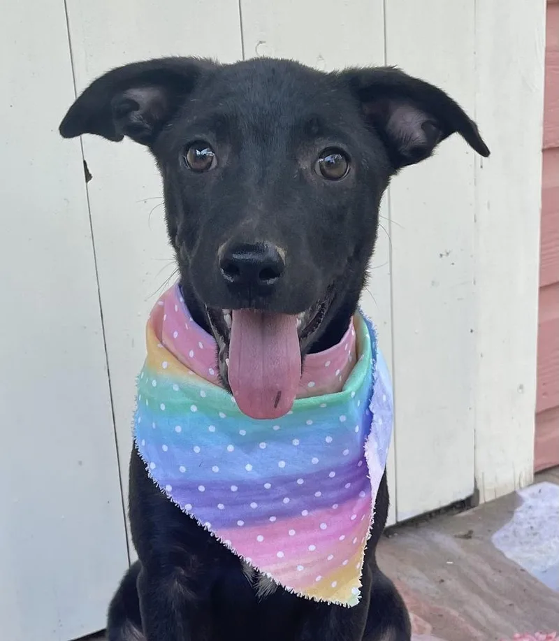 Loretta  Country Gal thumbnail 2