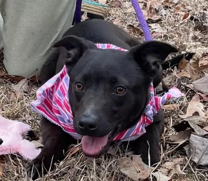 Loretta  Country Gal thumbnail 3