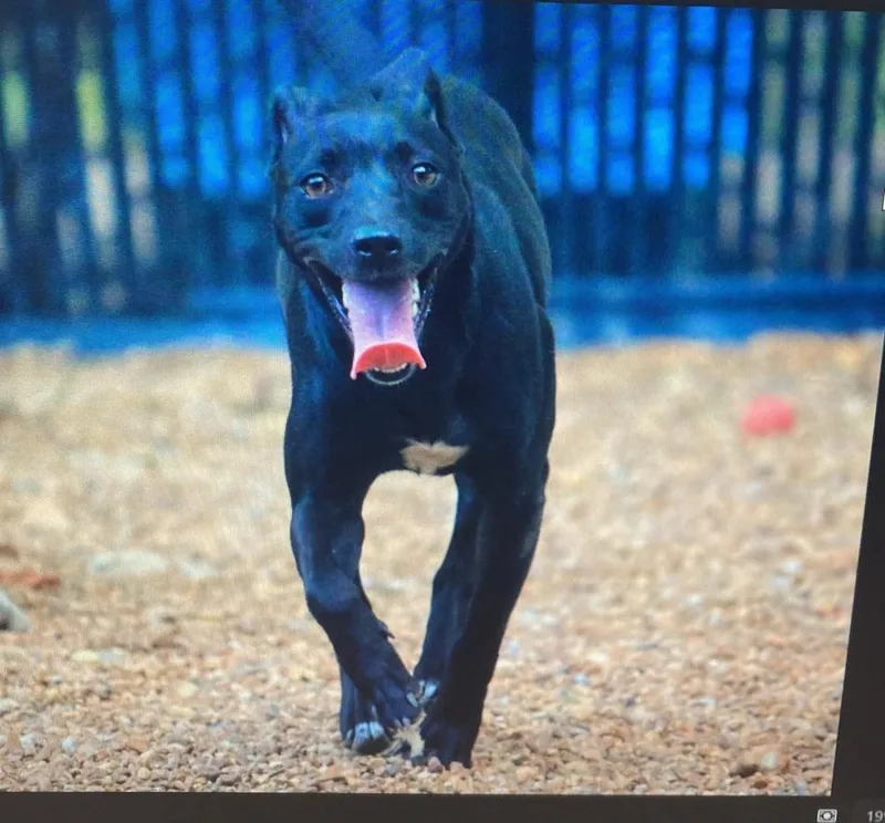 Loretta  Country Gal thumbnail 6