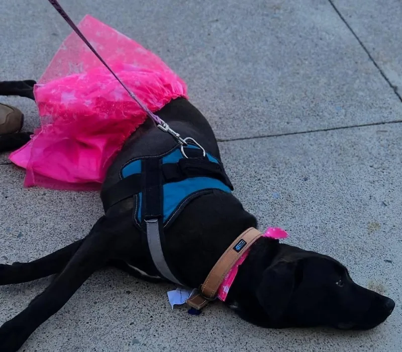 Missy thumbnail 3