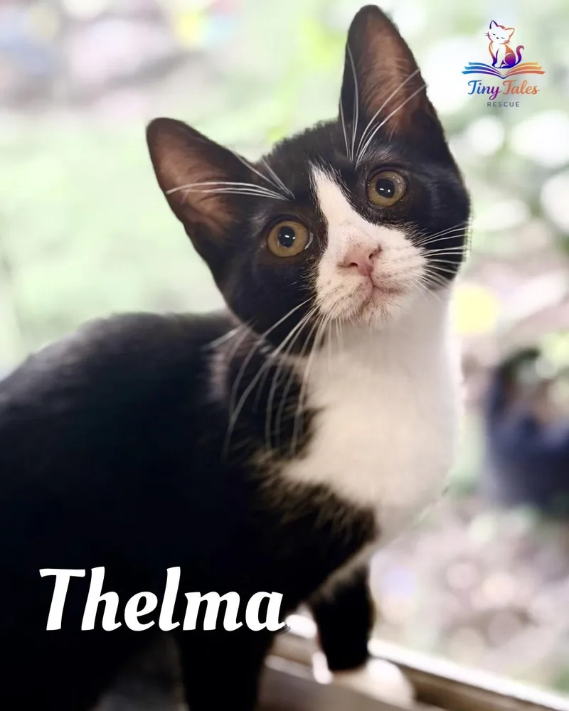 Thelma thumbnail 2