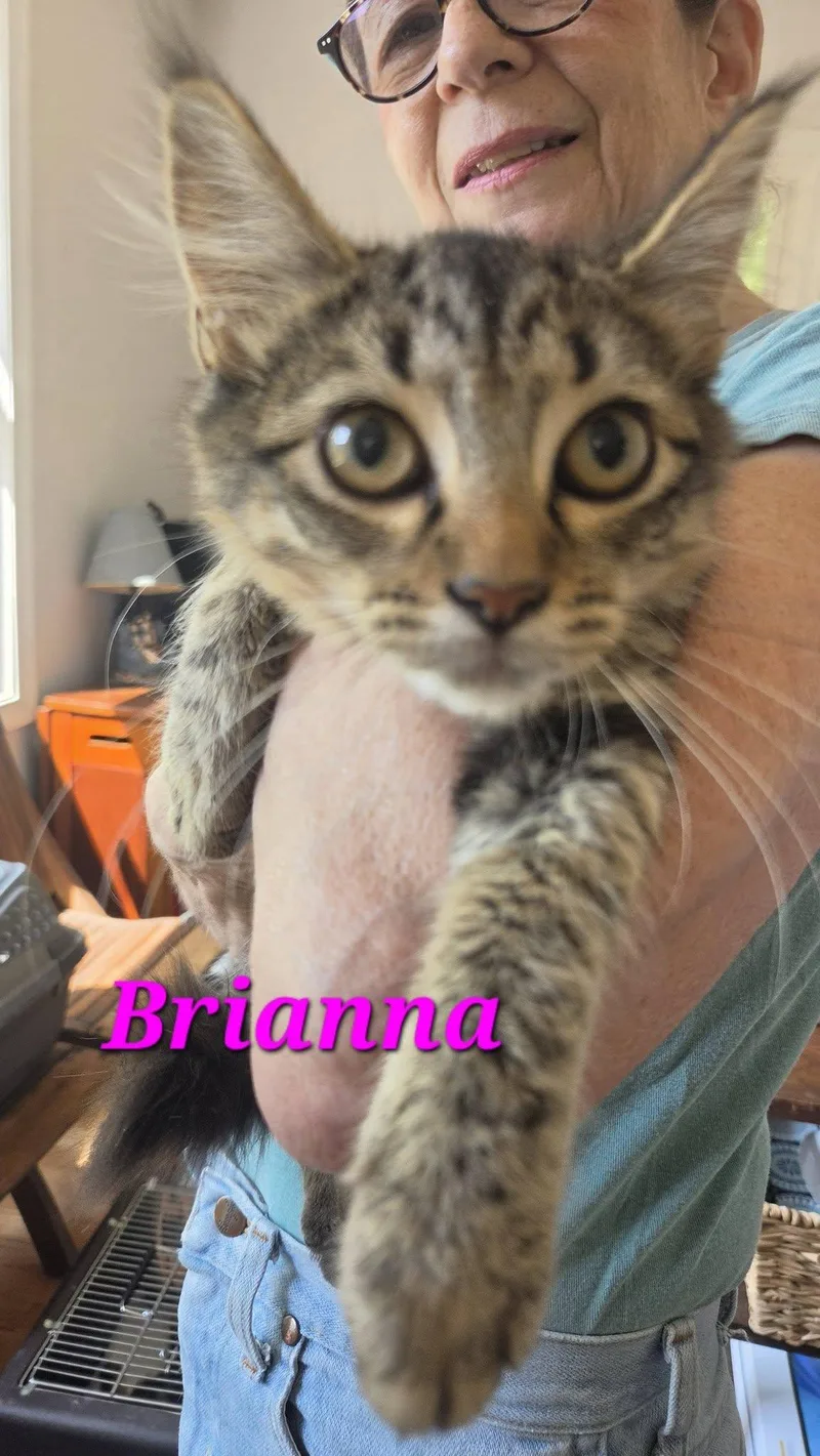 Brianna  at Petsense