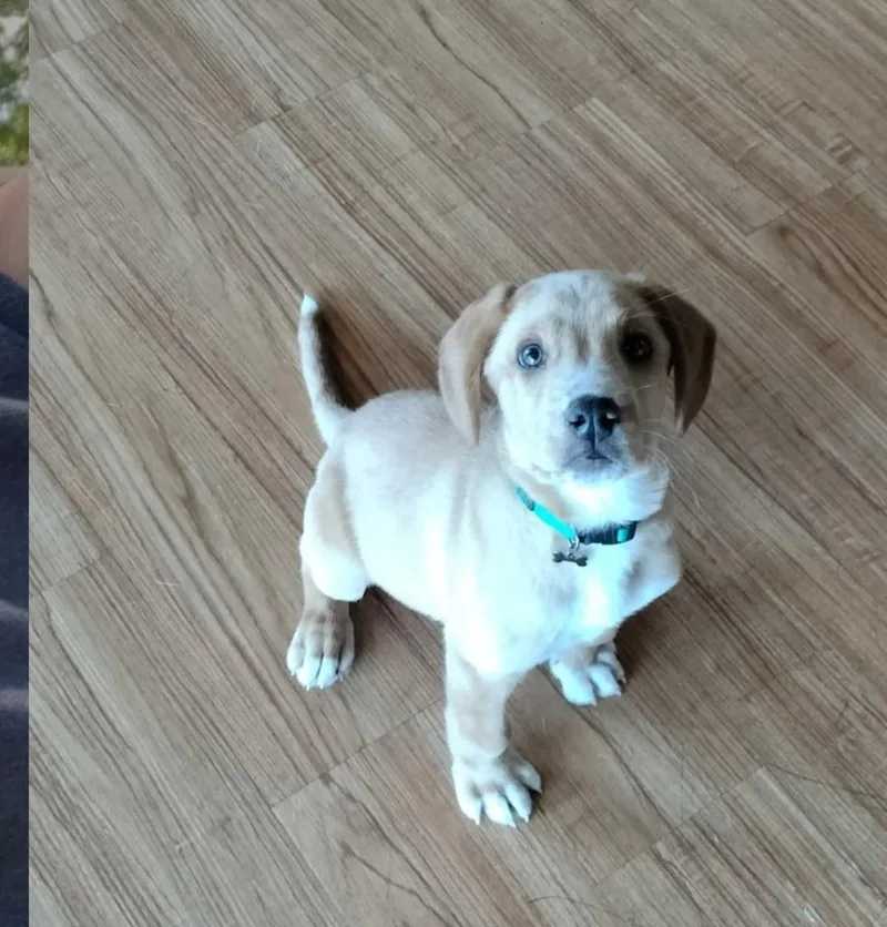 Baby Snoop thumbnail 5