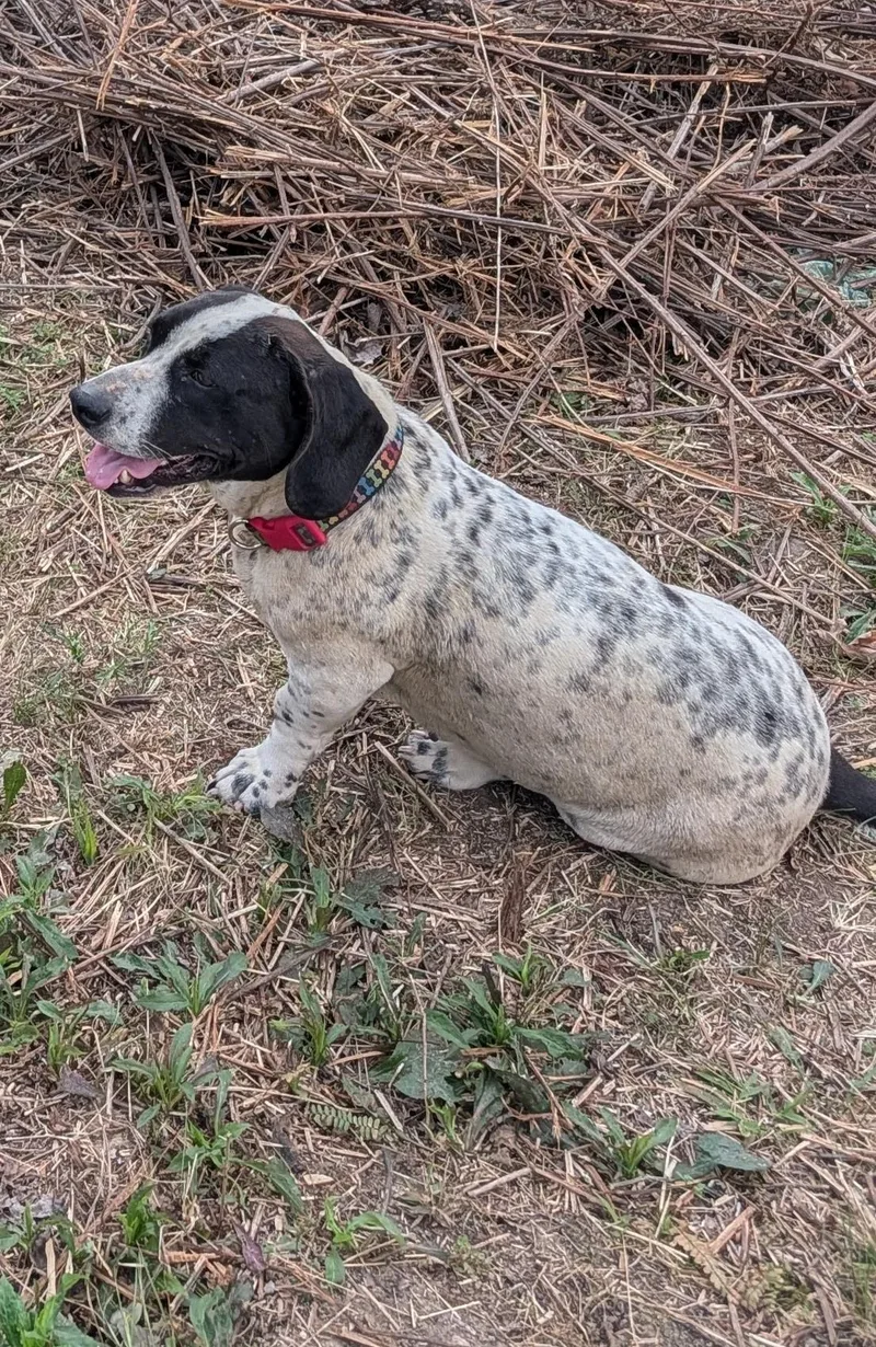 Maisy And Betsy thumbnail 4