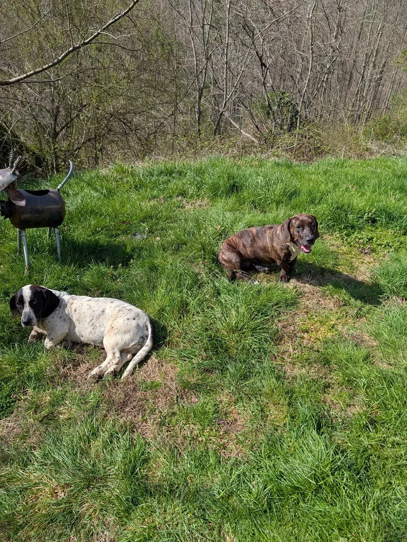 Maisy And Betsy thumbnail 5