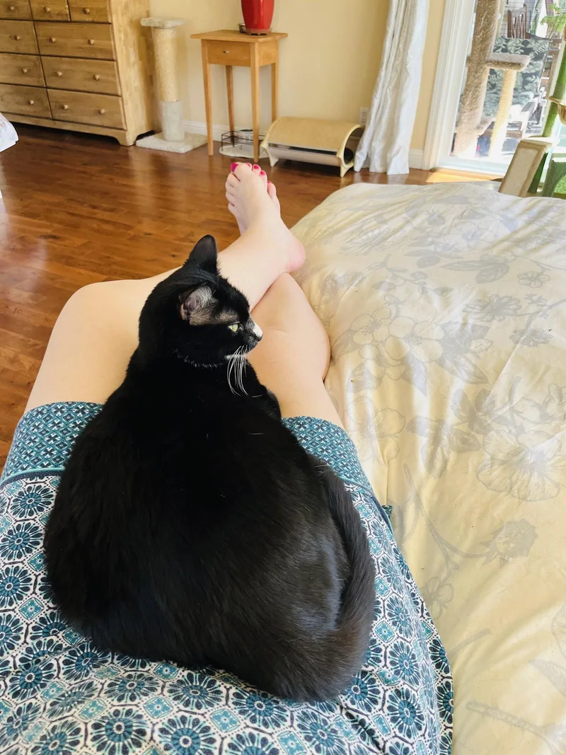 Oreo