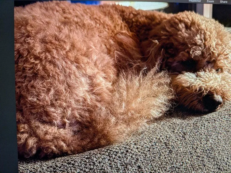 Cooper thumbnail 2
