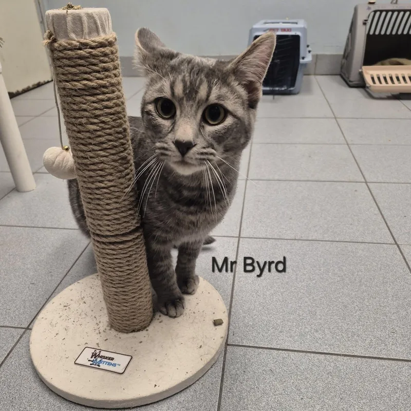 Jack Black & Mr thumbnail 2