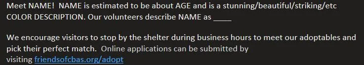 Jack Black & Mr thumbnail 4