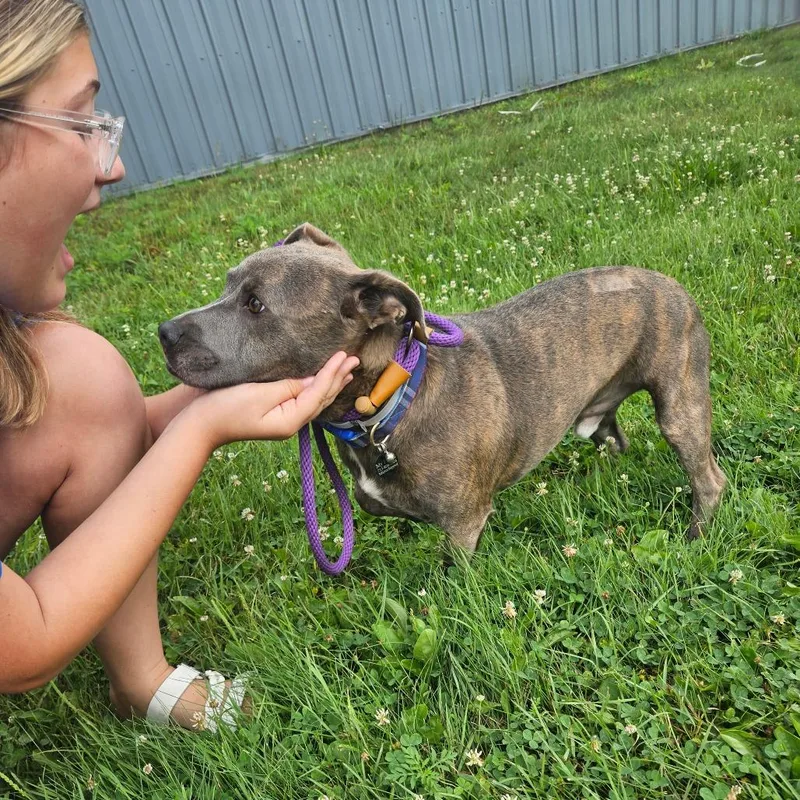 Sherman thumbnail 2