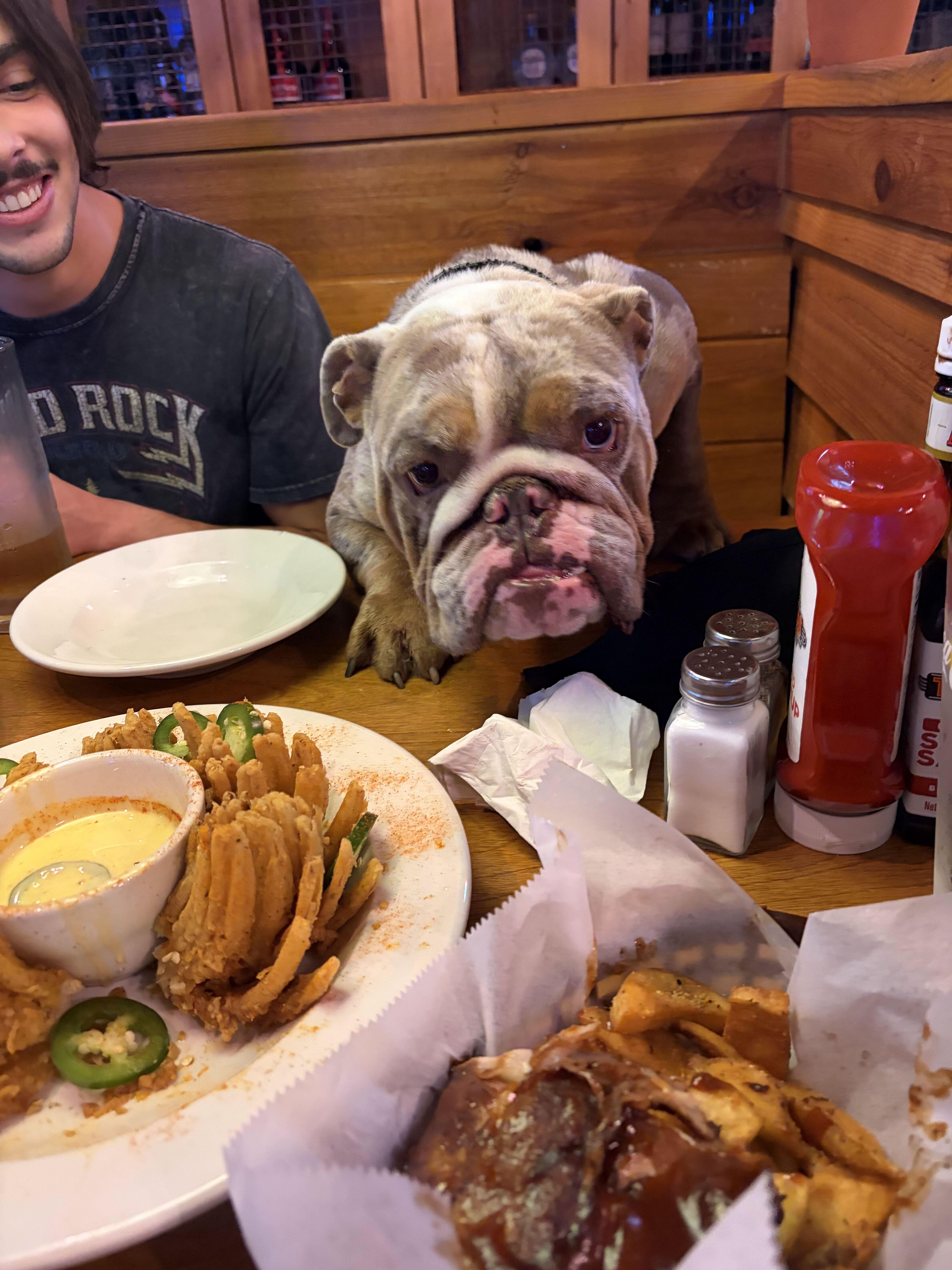 Tyson thumbnail 2