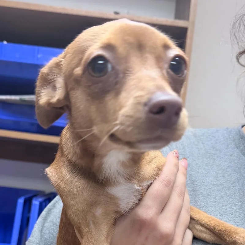 Kiki thumbnail 2