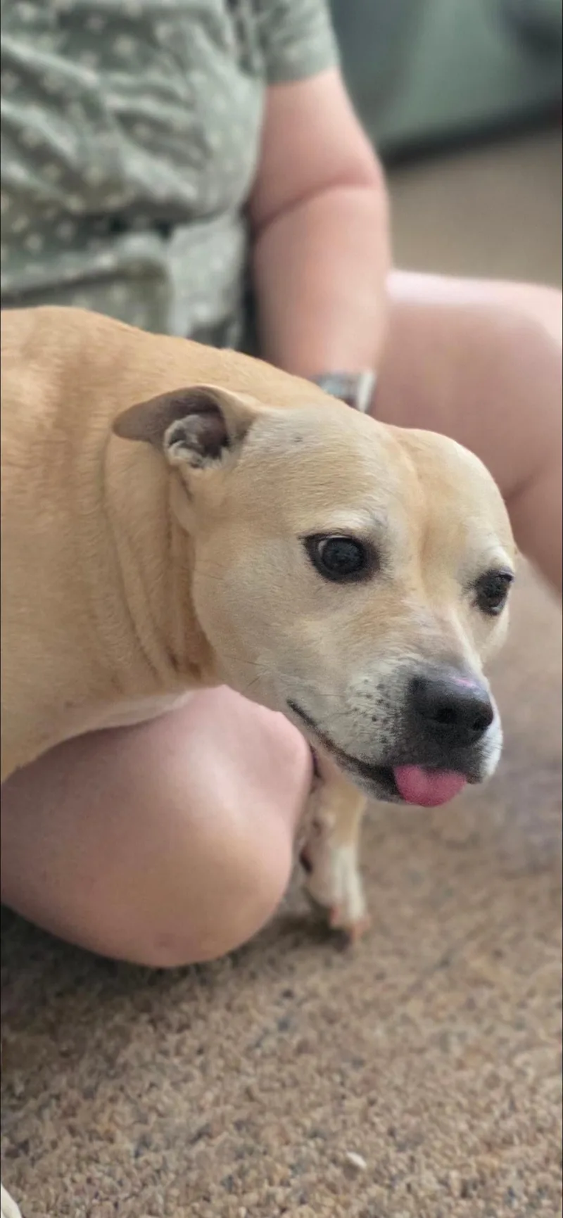 Ainsley thumbnail 3