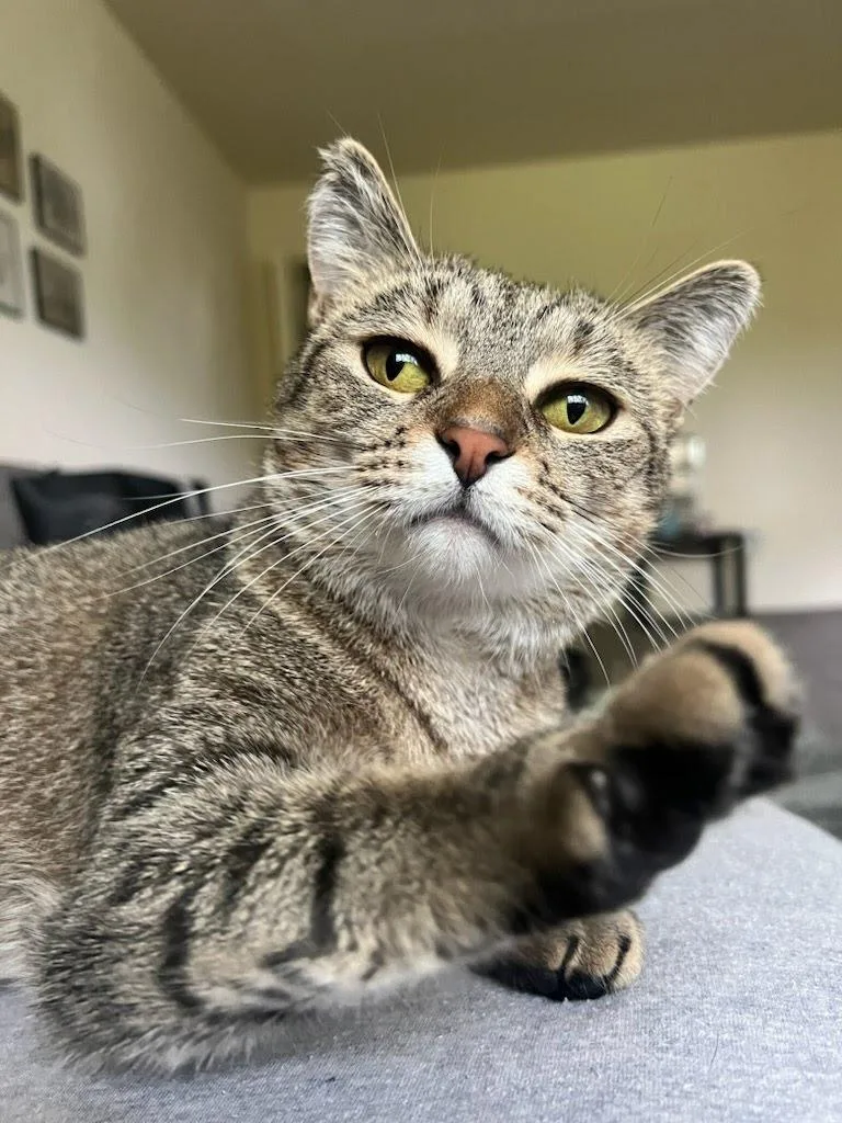 Stormie Aka Heidi thumbnail 3