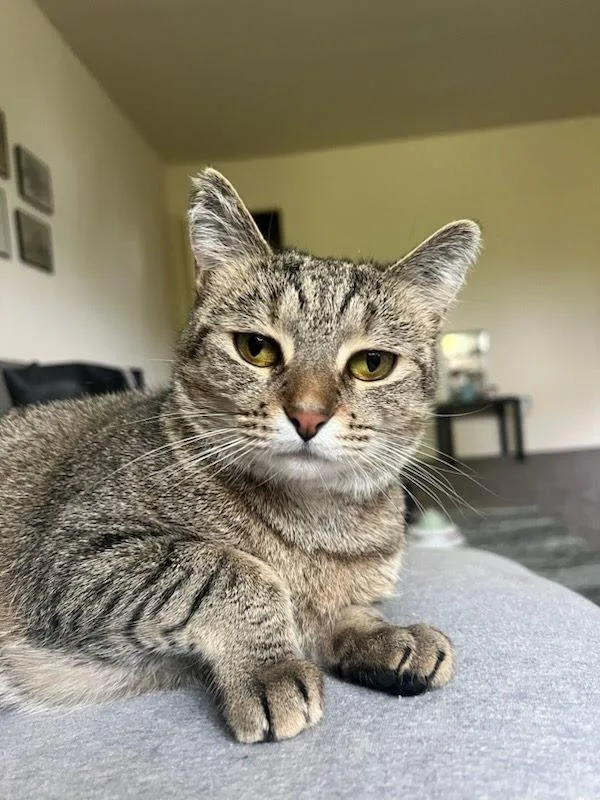 Stormie Aka Heidi thumbnail 4