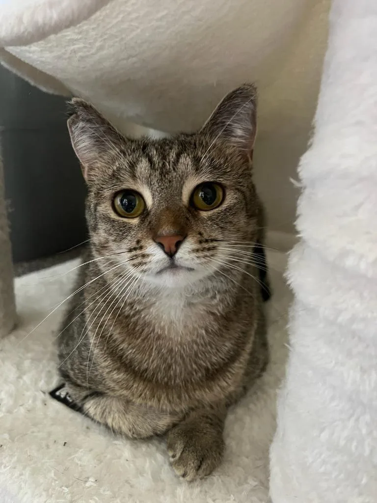 Stormie Aka Heidi thumbnail 6