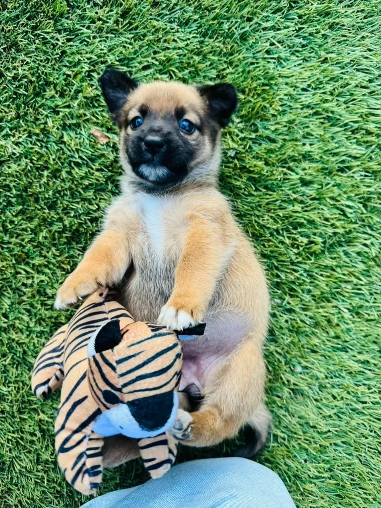 Baby Guh thumbnail 2