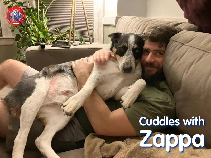 Zappa thumbnail 3