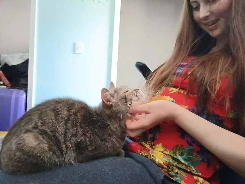 Angelica thumbnail 4