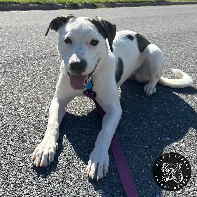 Lil Lucy thumbnail 2