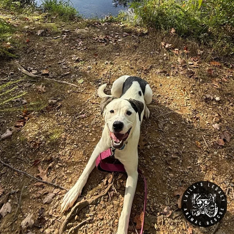 Lil Lucy thumbnail 4