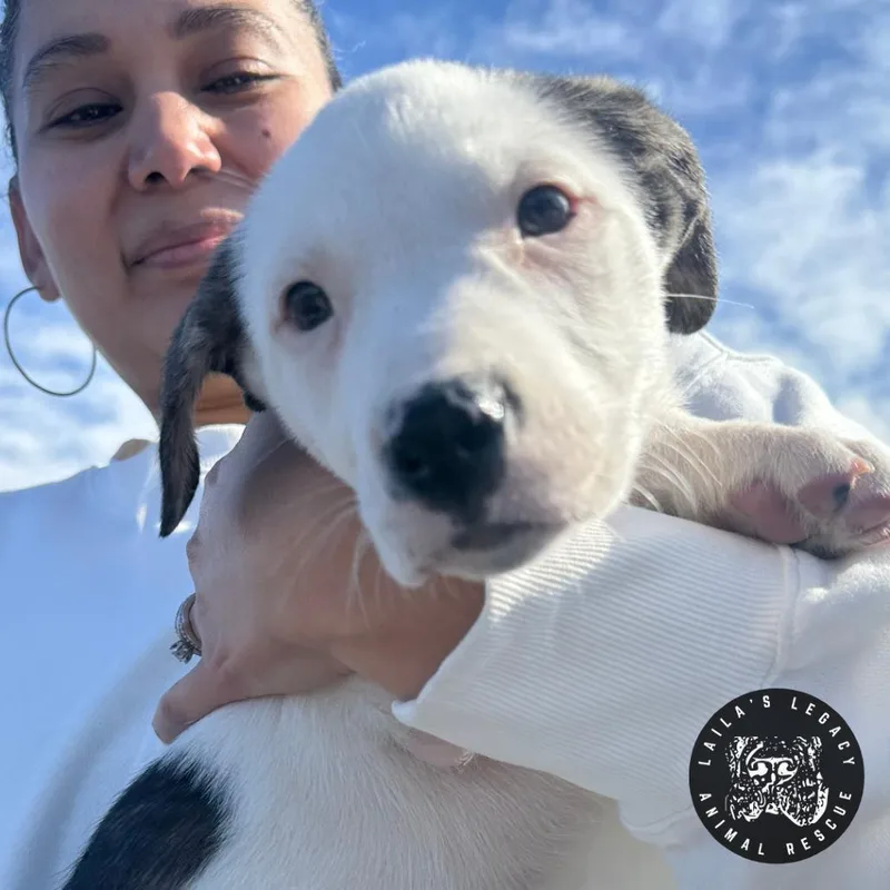 Lil Lucy thumbnail 5