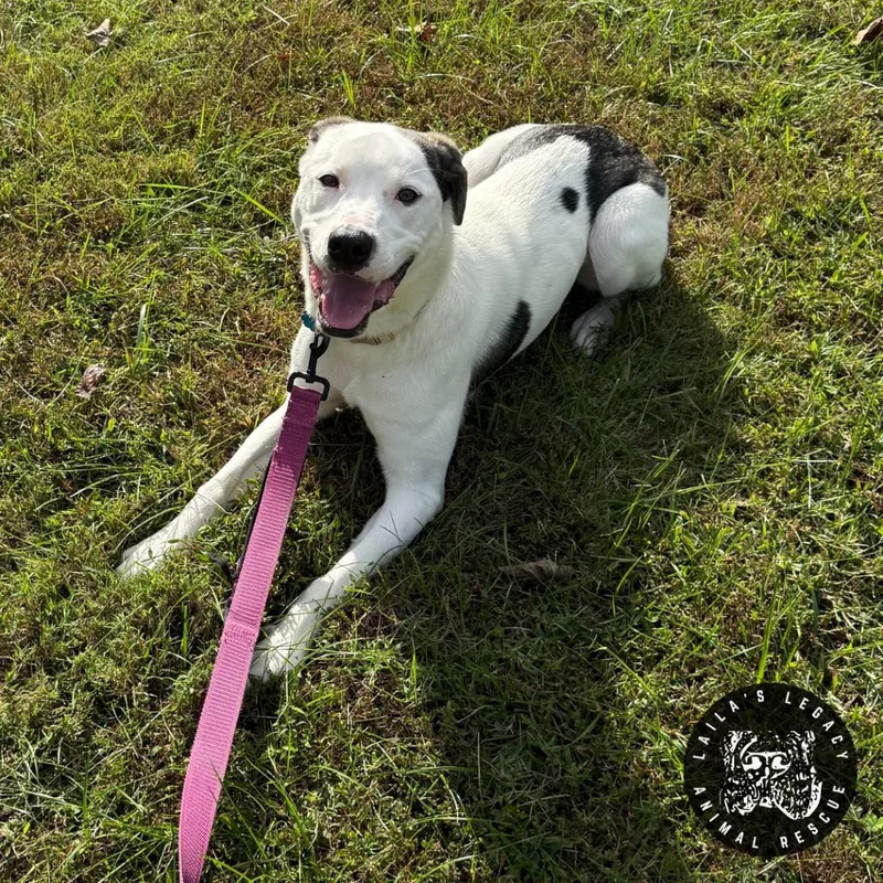 Lil Lucy thumbnail 6