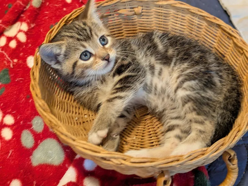 Jan  Young  thumbnail 2