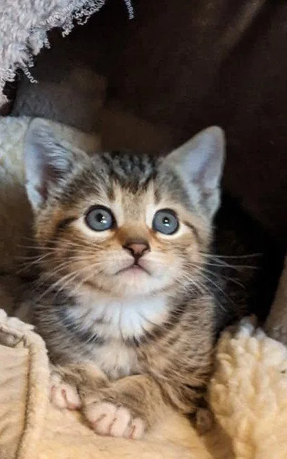 Jan  Young  thumbnail 3