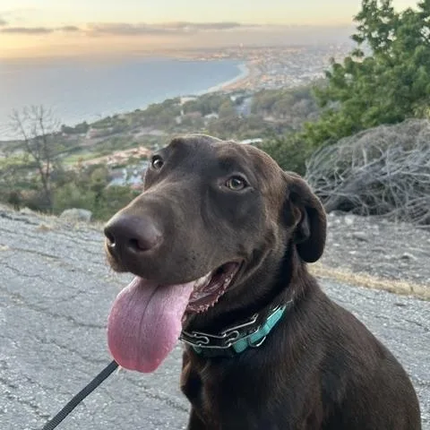 Kona