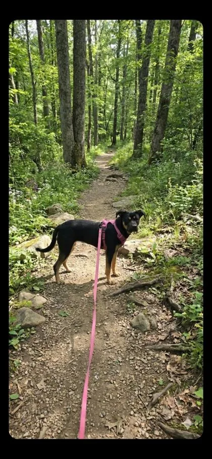 Loveland thumbnail 2