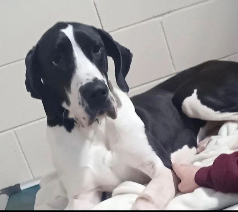 Jasper And Lainey thumbnail 2