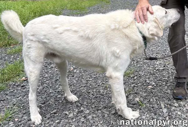 Yukon in NJ  thumbnail 2
