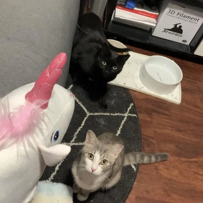 Trout The Toothless thumbnail 2