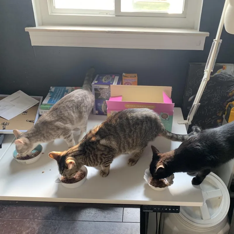 Trout The Toothless thumbnail 3