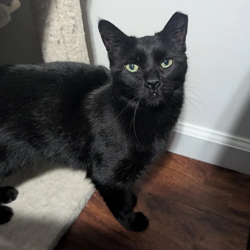 Trout The Toothless thumbnail 5