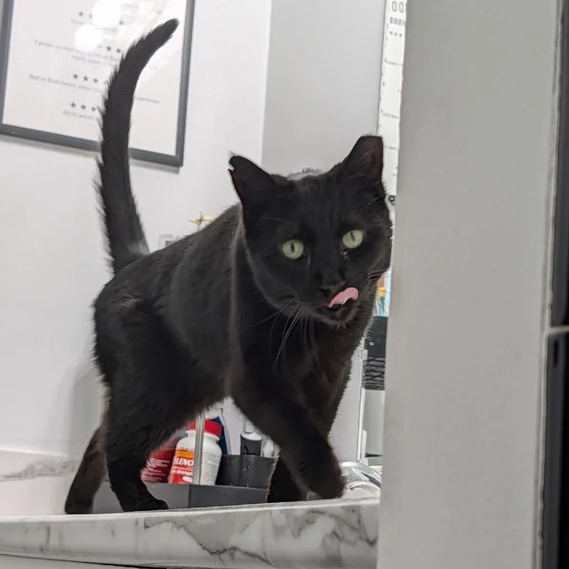 Trout The Toothless thumbnail 6