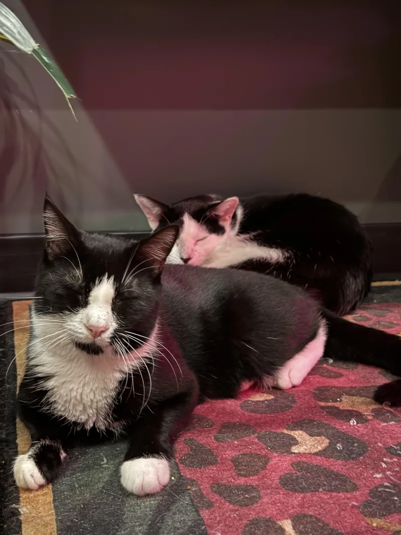 Michael & Sammy thumbnail 4